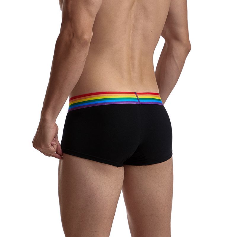 JOCKMAIL Rainbow White MESH Boxer Brief Underwear – INVI